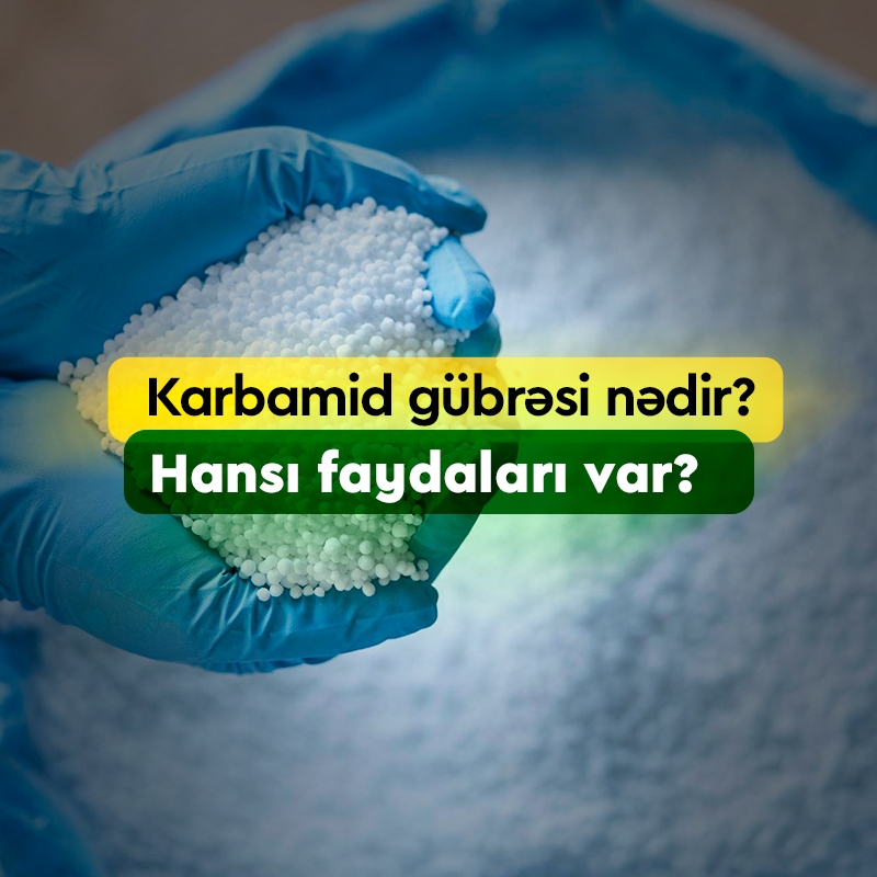 Karbamid gübrəsi nədir, Nə işə yarayır, Hansı faydaları var?
