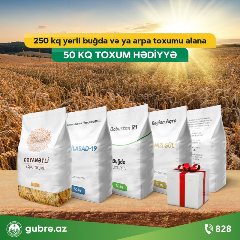 250 kq yerli buğda və ya arpa toxumu alana, 50 kq toxum HƏDİYYƏ