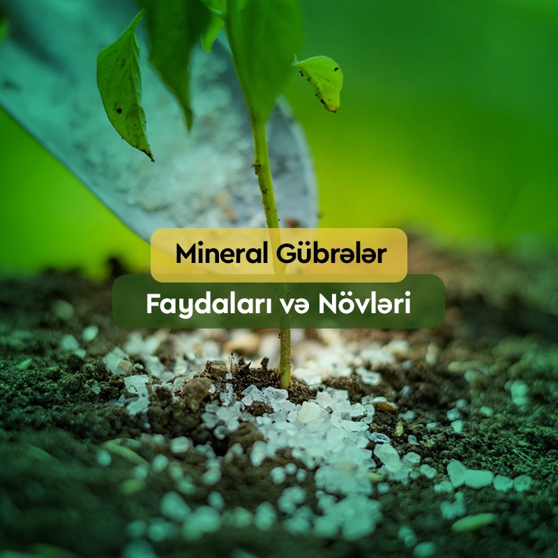 Mineral Gübrə Nədir? – Faydaları, Növləri, Satışı