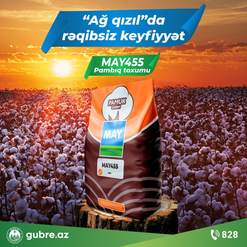 May-455 pambıq toxumu satışı