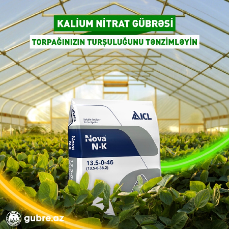 Kalium (Potasium) Nitrat gübrəsi: Turşuluğu artırmaq üçün faydalı gübrə
