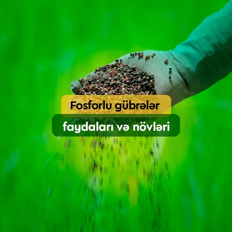 Fosforlu Gübrələr: Faydaları, Növləri, Satışı