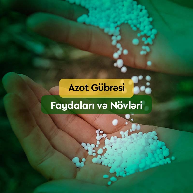 Azot Gübrəsi: Faydaları, Növləri, Satışı