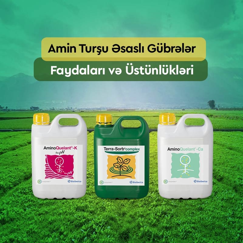 Amin Turşu Əsaslı Gübrələr: Faydaları və Üstünlükləri