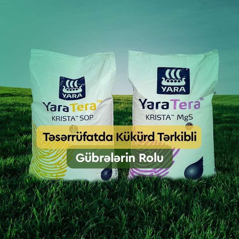 Təsərrüfatda Kükürd Tərkibli Gübrələrin Rolu