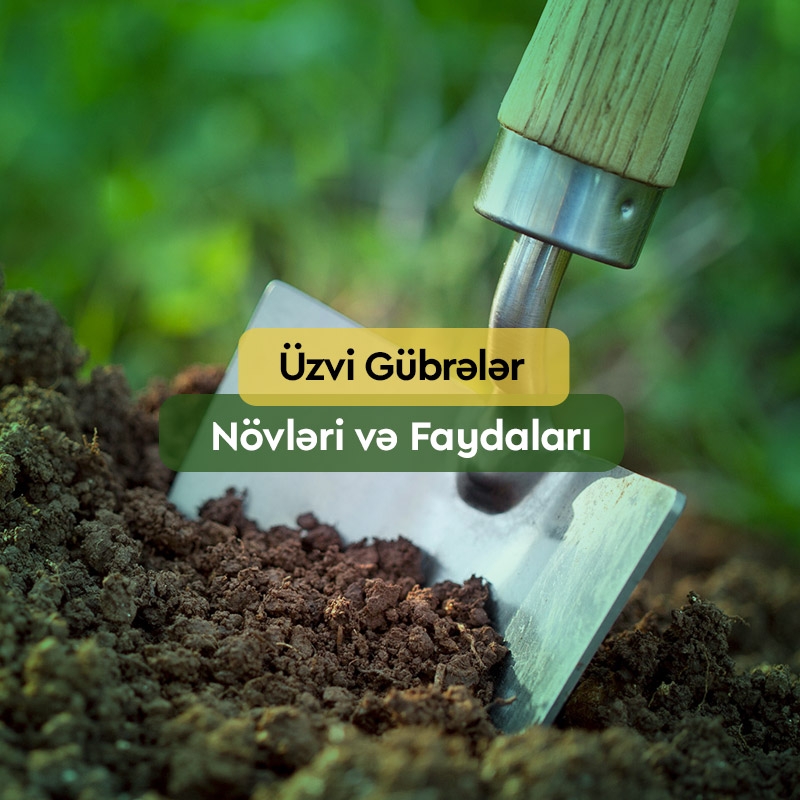 Üzvi Gübrələr Nədir? Üstünlükləri, İstifadə qaydası