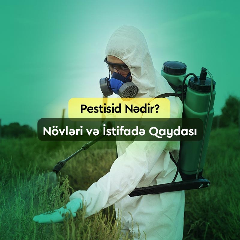 Pestisid Nədir? Növləri, İstifadə Qaydası və Satışı