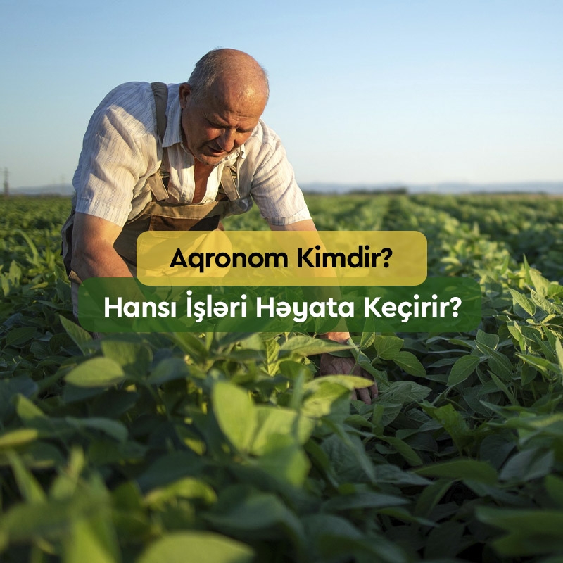 Aqronom Kimdir? - Hansı İşləri Həyata Keçirir?