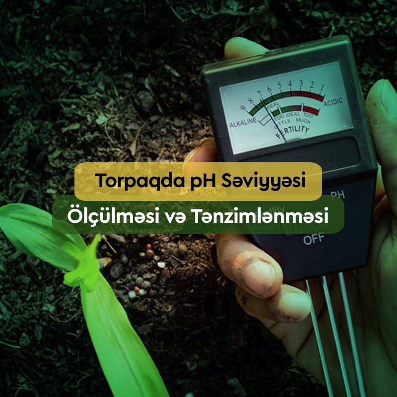 Torpaqda pH Səviyyəsi, Ölçülməsi və Tənzimlənməsi