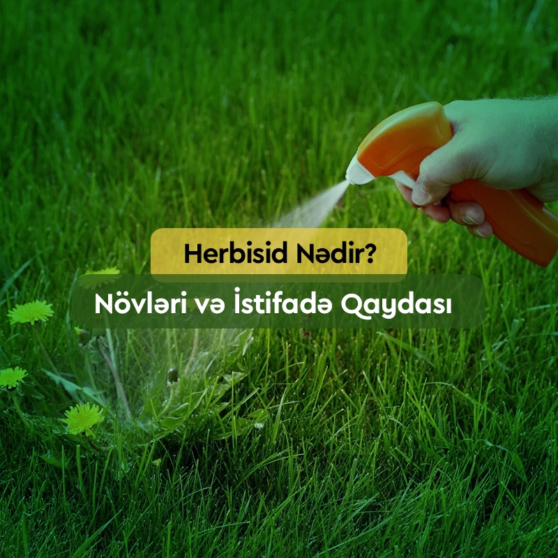 Herbisid Nədir? Növləri, İstifadə Qaydası və Satışı