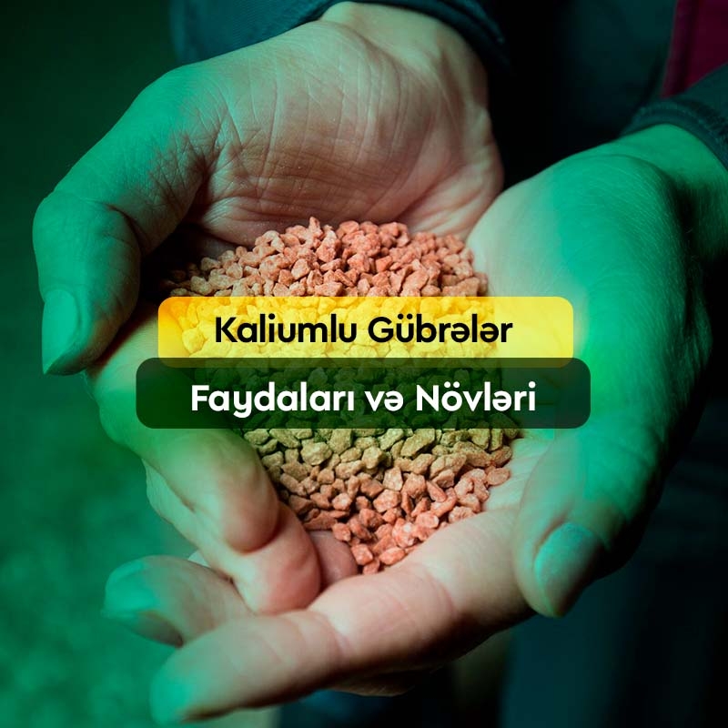 Kaliumlu Gübrələr: Faydaları, Növləri, Satışı