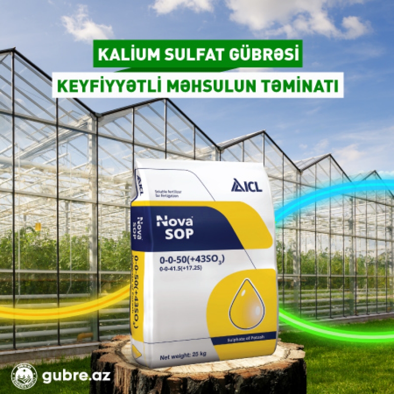 Kalium Sulfat (SOP) gübrəsinin faydaları