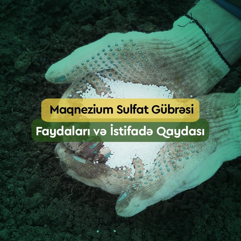 Maqnezium Sulfat Gübrəsi, Faydaları və İstifadə Qaydası