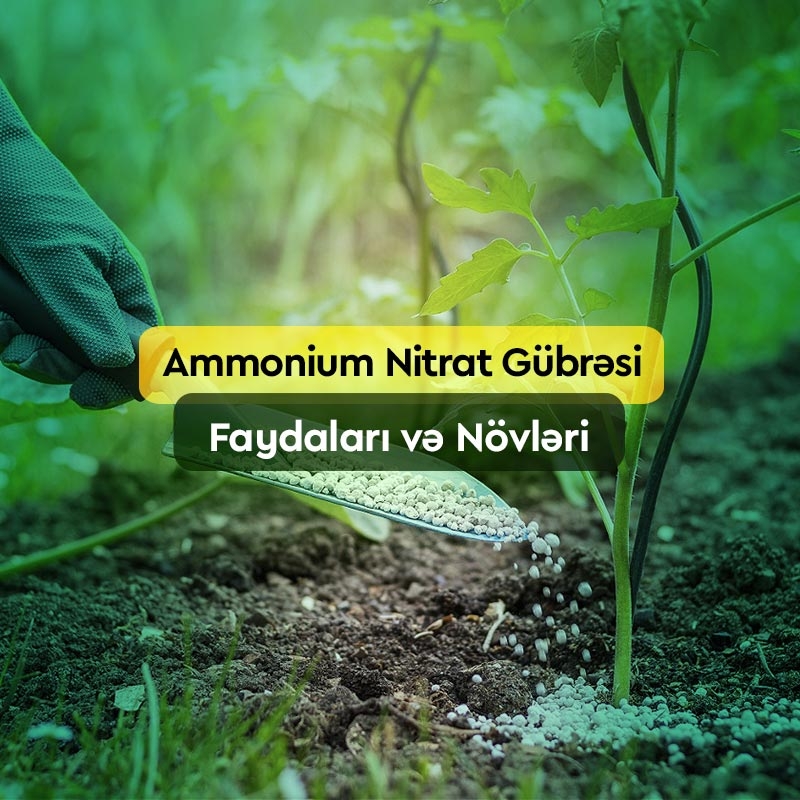 Ammonium Nitrat Gübrəsi: Faydaları, Növləri, Satışı