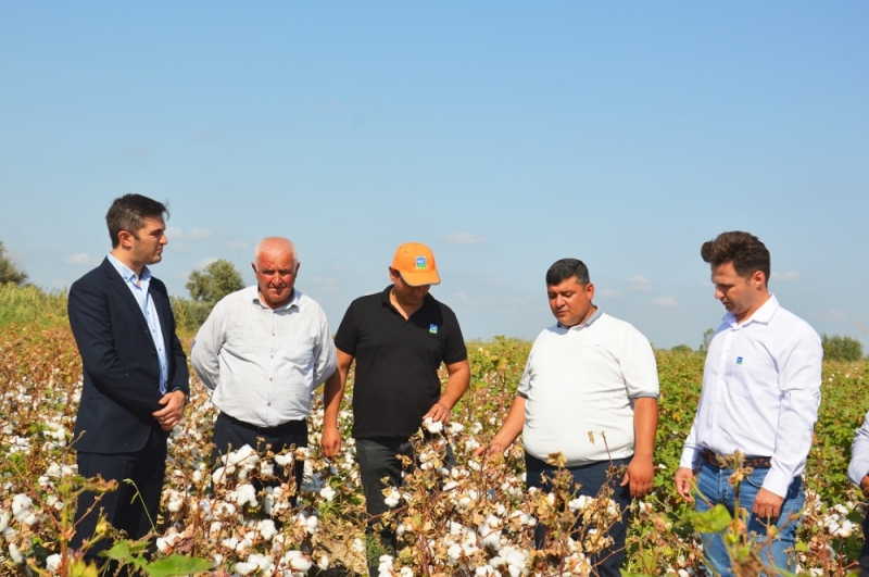 Gubre.az pərakəndə ticarət şəbəkəsi daha məhsuldar pambıq toxumları idxal etməkdə davam edir.