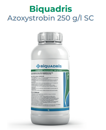 Biquadris / Azoxystrobin 250 g/l SC / Trustchem / 2025 / 1 lt